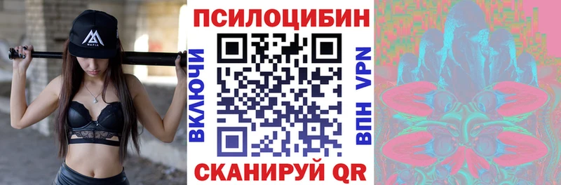 Галлюциногенные грибы Cubensis Нижний Ломов